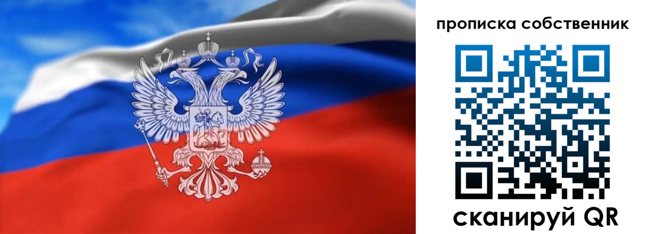 прописка законно в Мытищах